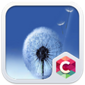 White Flower Theme C Launcher icon