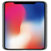 iPhone X icon
