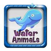 Water Animal Calls and Sounds