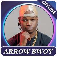 Arrow Bwoy songs, offline