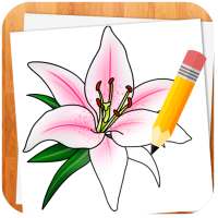 Comment Dessiner Fleurs