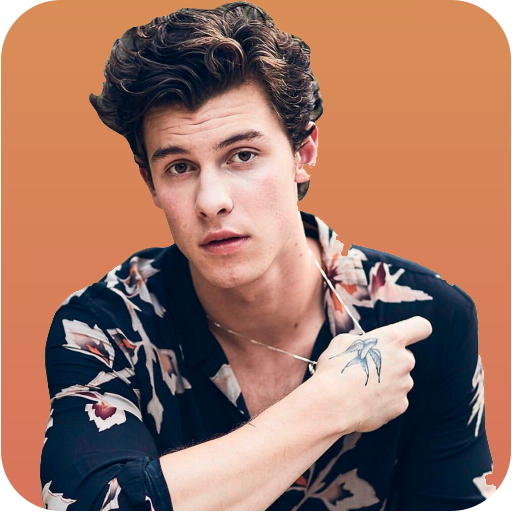 Shawn Mendes Music and Lyrics icon