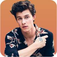 Shawn Mendes Music and Lyrics