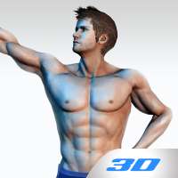 Appdominals Six Pack ABS in 3D