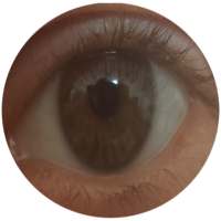 Office Eyes (Eye) Saver Free