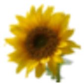 ET Battery Widget icon