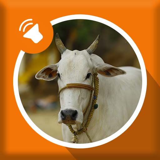 Cow Sounds - Cow Mooing and Bell Sounds icon