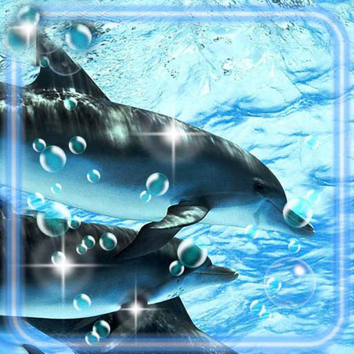 Dolphins Live Wallpaper icon