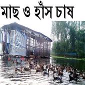 মাছ ও হাঁস চাষ পদ্ধতি এক সাথে icon