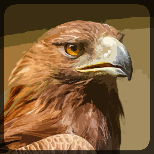 Eagle Hunting Journey أيقونة