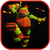 turtle shadows ninja icon
