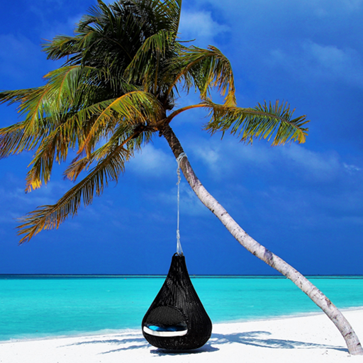 ikon Maldives Beach Views Wallpaper