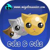 Cats & Cats