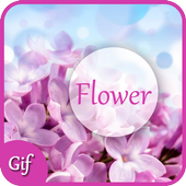 Flower GIF 2017 أيقونة