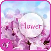 Flower GIF 2017 on 9Apps