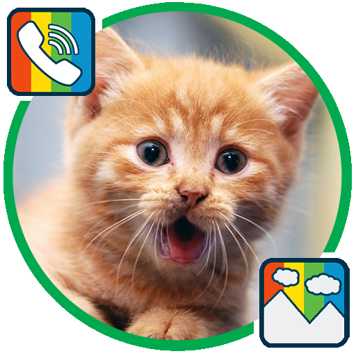 Cat - RINGTONES and WALLPAPERS icon