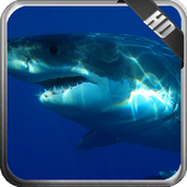 Megalodon Wallpaper icon
