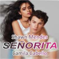 Shawn Mendes - Senorita