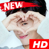 Park Bo Gummy WallpaperHD icon