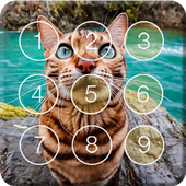 Cute Kitten Cat Little Pet Screen Lock icon