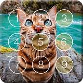 Cute Kitten Cat Little Pet Screen Lock on 9Apps