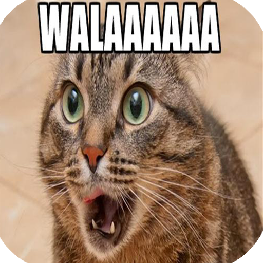 ikon Imagenes de humor