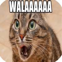 Imagenes de humor on 9Apps