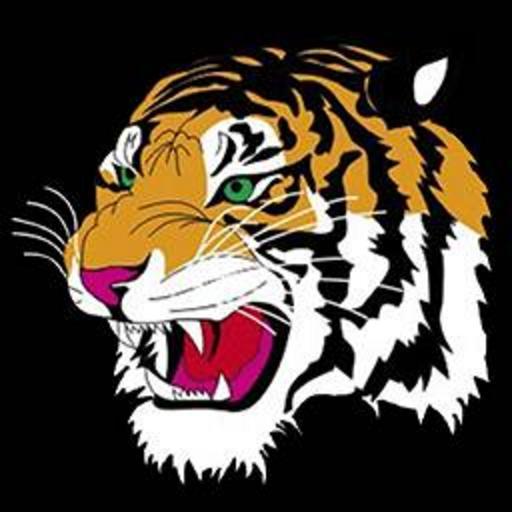 VP-8 Fighting Tigers icon