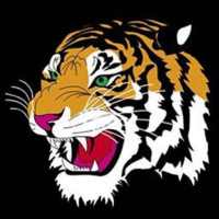 VP-8 Fighting Tigers