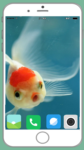 Fish Full HD Wallpaper screenshot 13