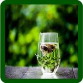 Green Tea Tips on 9Apps