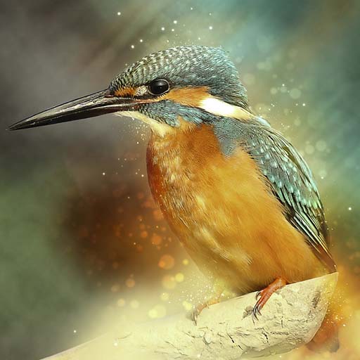 KingFisher Sounds icon