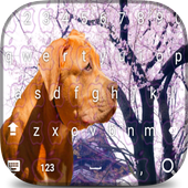 American pitbull Sakura keyboard theme иконка