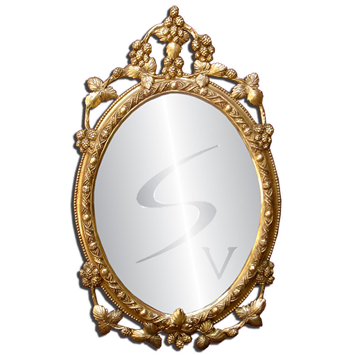 Galaxy S5 Mirror:S Five Mirror icon