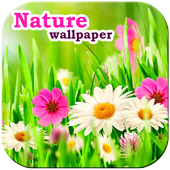 Free Nature Wallpaper icon