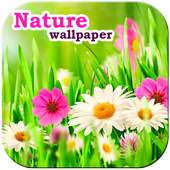 Free Nature Wallpaper on 9Apps