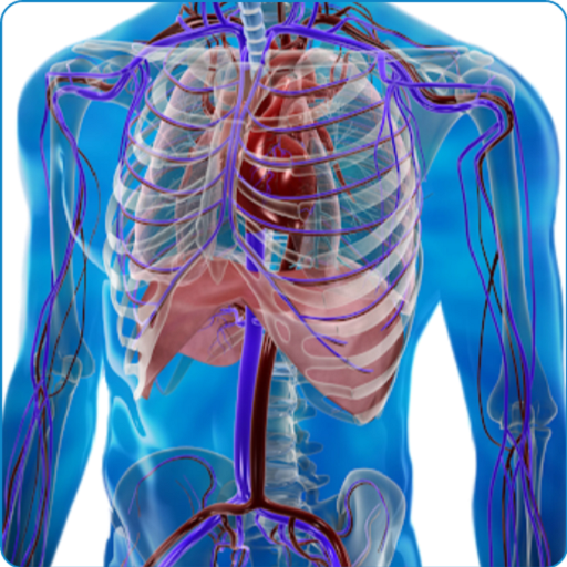 Human Arterial System icon