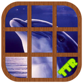 Dolphin Sliding Puzzle icon