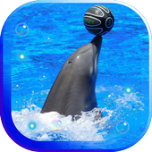 Dolphins Sound live wallpaper icon