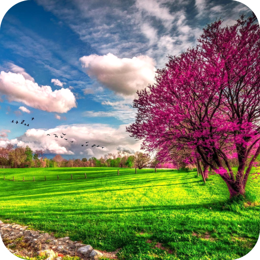 Scenery Live Wallpaper Best HD icon