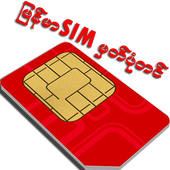 MM-SIM icon
