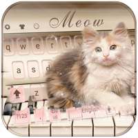 Cute Cat Live Wallpaper Theme