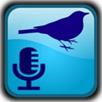BirdUp - birdsong recognition on 9Apps