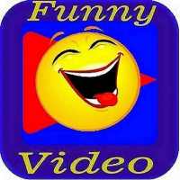 Funny videos