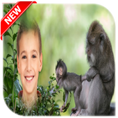 Monkey photo frame icon