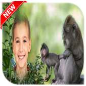 Monkey photo frame on 9Apps