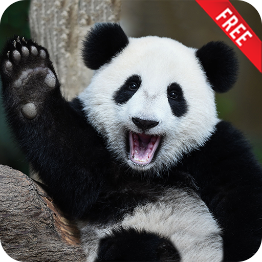 Животные для детей и малышей   Игры, Стихи, Пазлы иконка