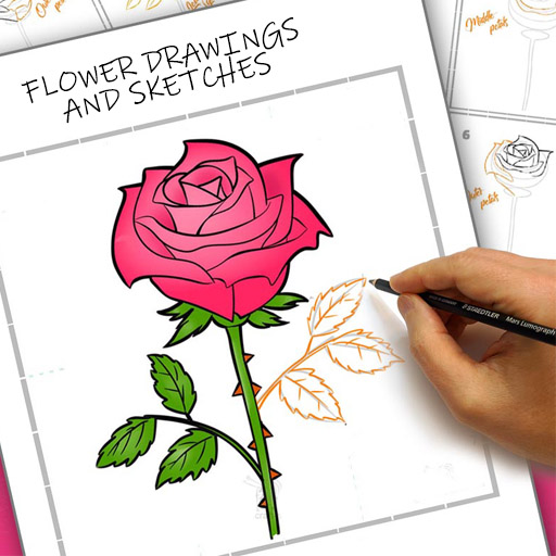 Flower Drawings and Sketches Ideas icon