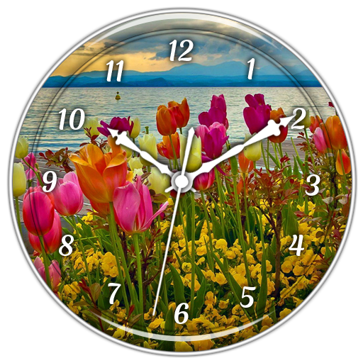 Spring Flowers Clock Live WP icon