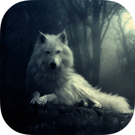 Dogs Wallpapers HD icon